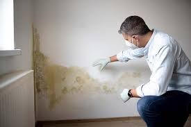 Best Mold Prevention Services  in Benton, LA